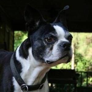 Meet your Posher, Laurie